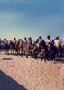 Tradicional Rodeo de Burros